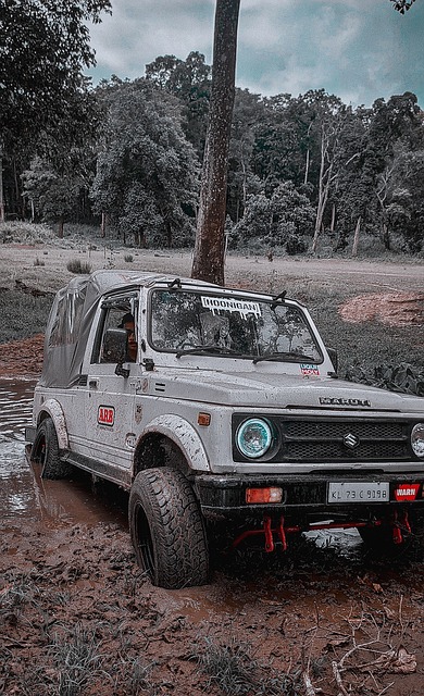 半场战报：摩纳哥2-1帕福斯，南野拓实、巴洛贡破门